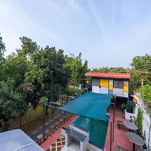 Ntr Garden